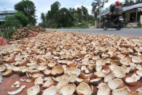 Kelapa/Kopra